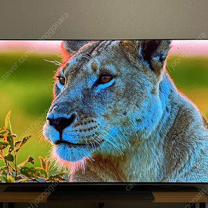 24년 LG OLED G4 4K TV 55인치 스탠드형