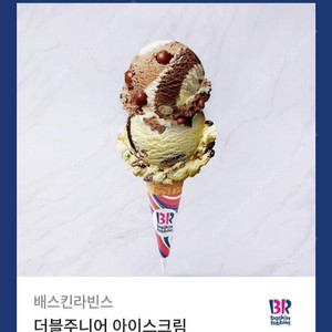 배스킨라빈스 더블주니어 팝니다!