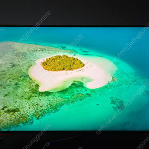 삼성전자 오디세이 Neo G7 G70NC S43CG700 43인치 미니LED 모니터 팔아요