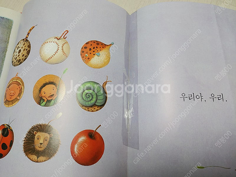 키즈스콜레 보림 양장본 영유아 베스트 2단계--8