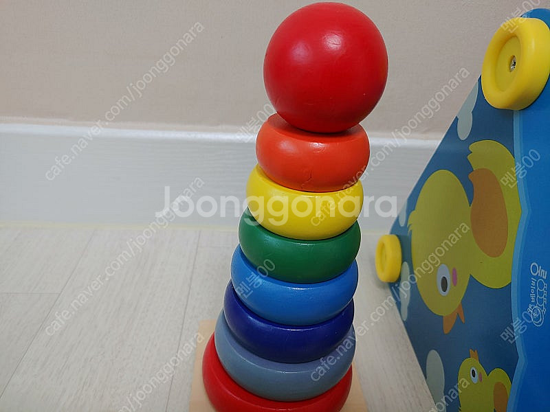 원목교구 (베이비올 & 토도리브로 & 블루래빗 등)--1