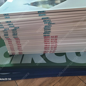 강남대성 콘텐츠 새것