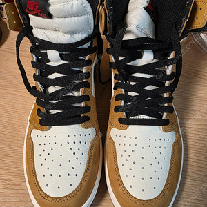 조던1 하이 루키오브더이어