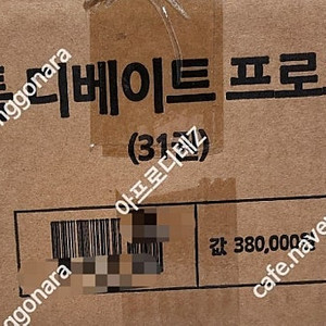키즈스콜레 틱톡 디베이트 프로그램 세이펜 미개봉 네고사절