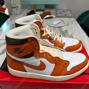 조던1 레트로 하이 OG 스타피쉬 우먼스