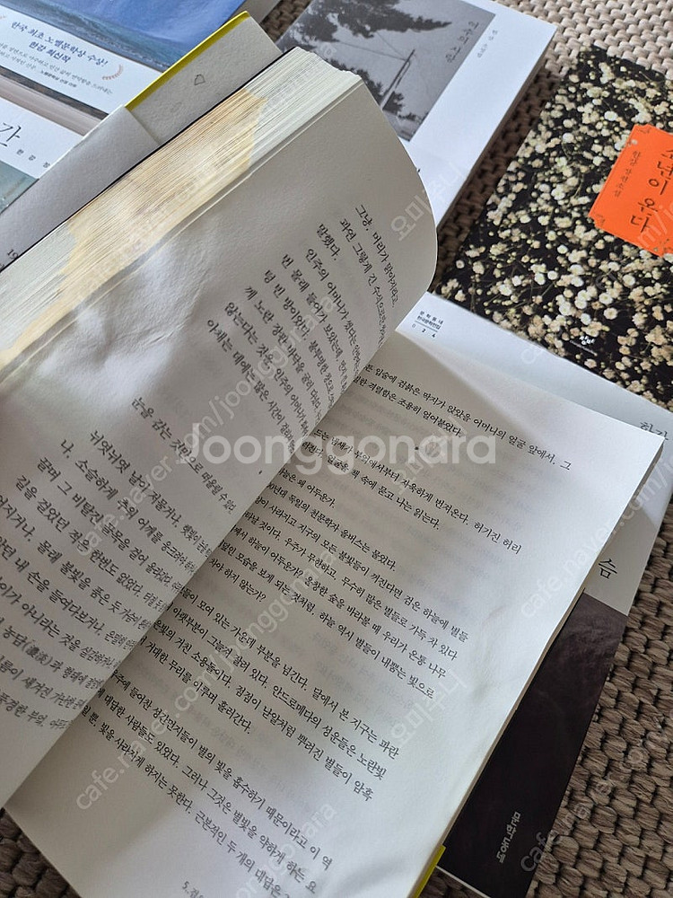 노벨문학상 한강책 11권--5