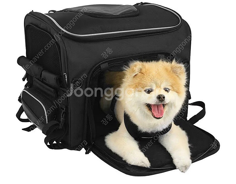 [부산]오토바이용 강아지 캐리어(가격수정)--3