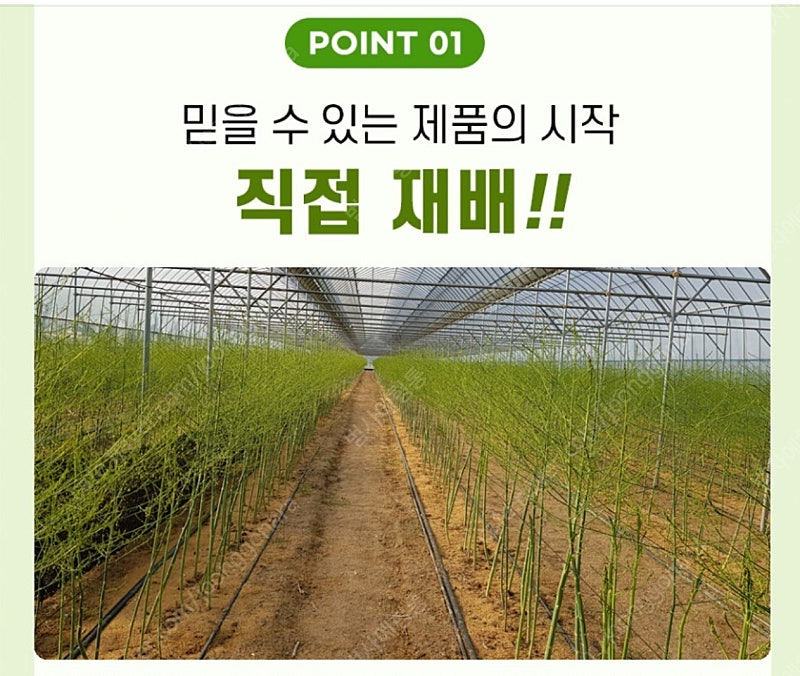 아스파라거스즙 이미지