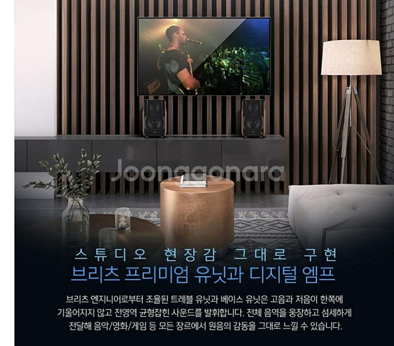 브리츠 br-3000pro 북쉘프 블루투스 스피커(좌우...--4