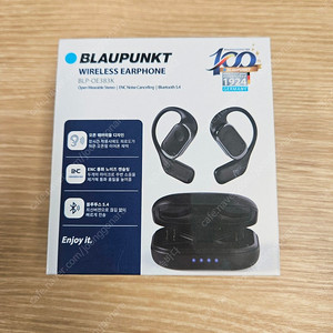 블라우풍트 블루투스 이어폰 BLP-OE383K