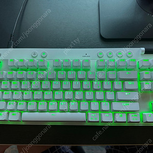 로지텍 g pro tkl rapid 화이트