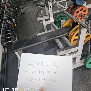 헬스기구 웨이트 기구