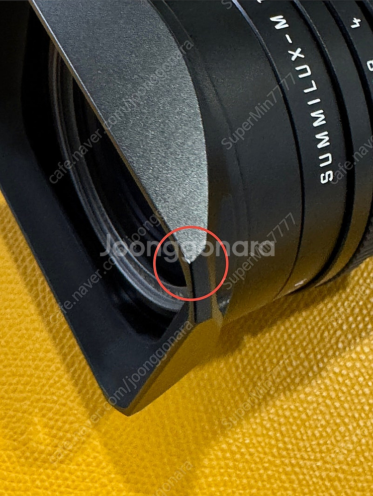 Summilux-M 28mm f/1.4 ASPH--5