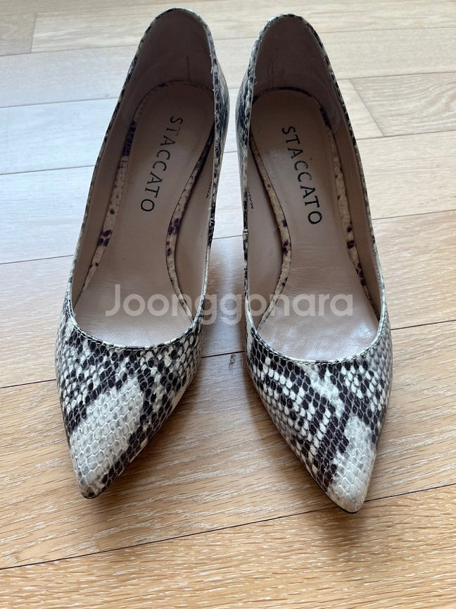 스타카토 여성 구두 힐--7