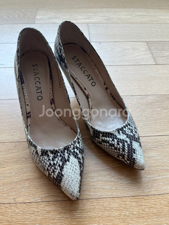 스타카토 여성 구두 힐--9