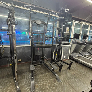 MASSFITPRO 어시스트 친딥 치닝디핑 팝니다.