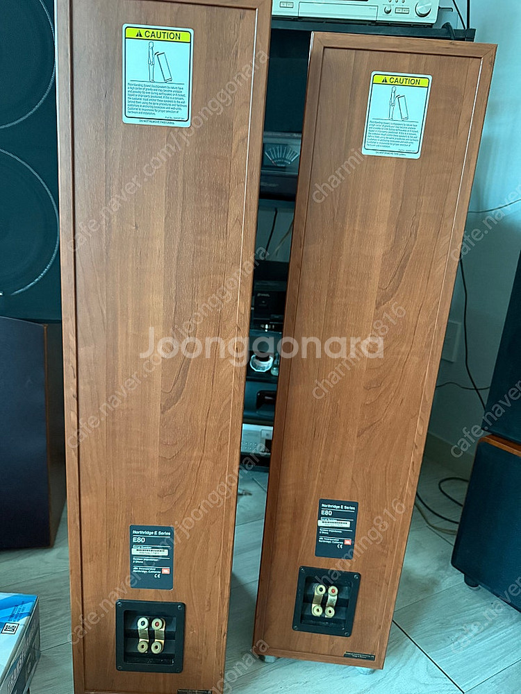 JBL Northridge E Series E80 스피...--2