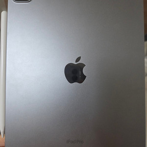 iPad Pro 11인치 4세대(m2) 128GB + 애플펜슬(2세대)