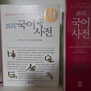 보리국어사전 2차 개정판
