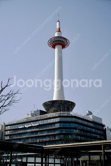 쿠로노도쿄 토키, 모리, 레이와 구매합니다--0