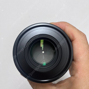 시그마 65mm f2 소니 fe용 렌즈