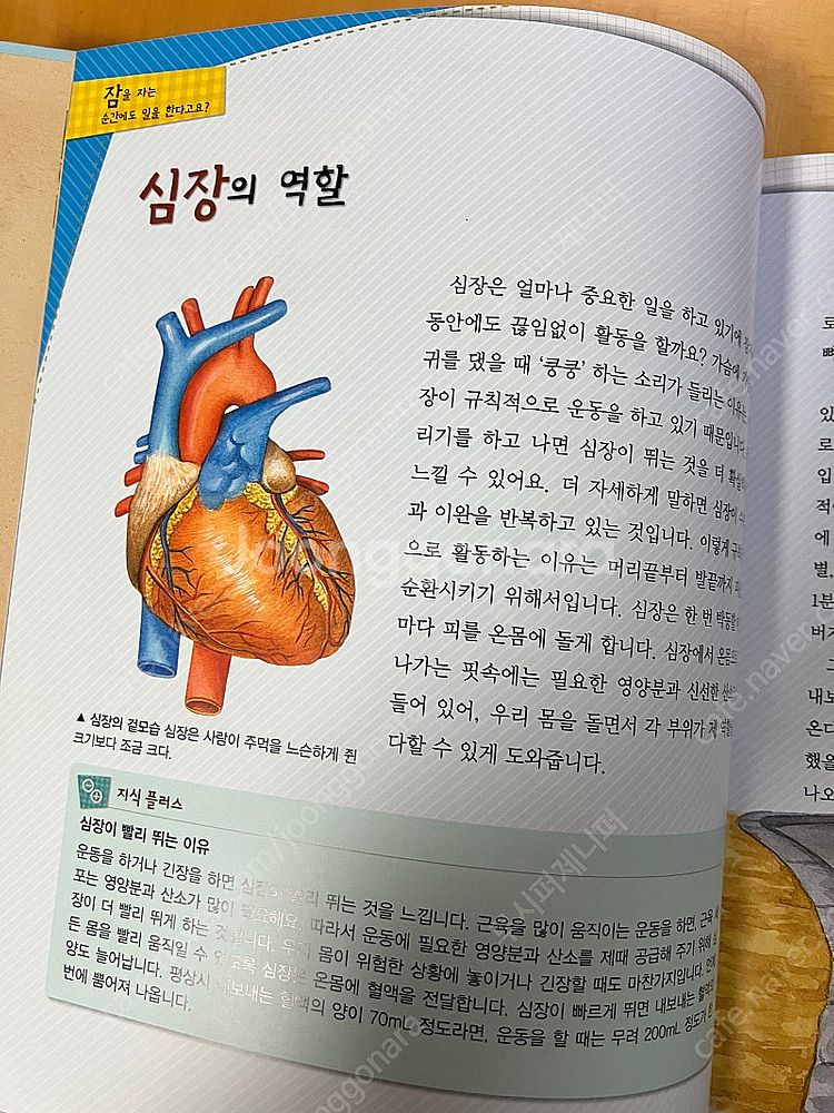 [교원] 눈으로 보는 과학 전집 풀구성--7