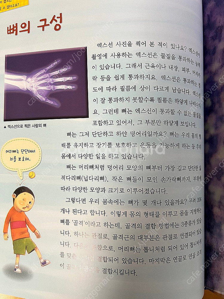 [교원] 눈으로 보는 과학 전집 풀구성--8