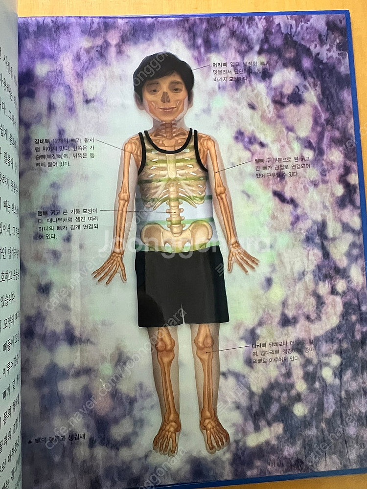 [교원] 눈으로 보는 과학 전집 풀구성--9