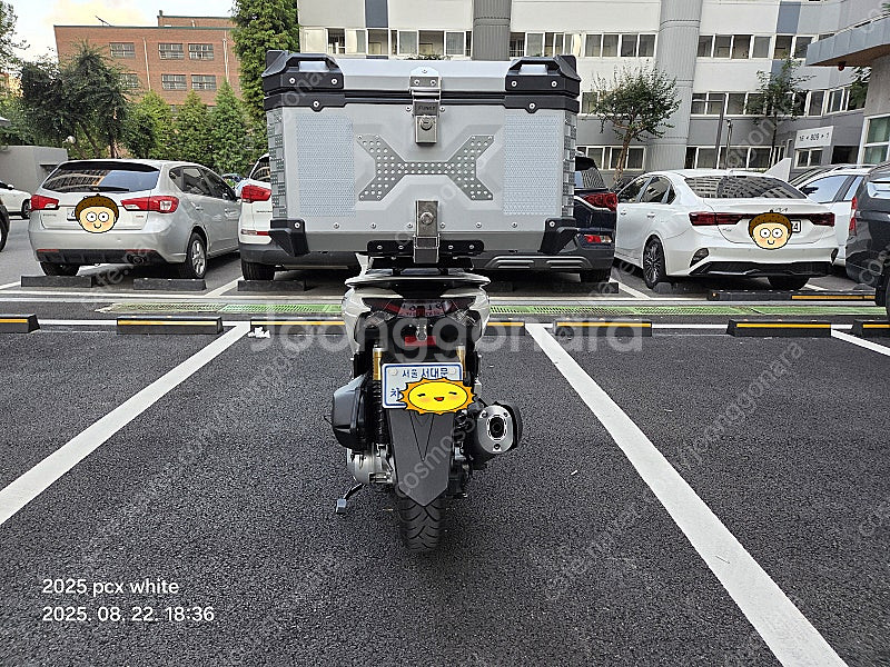 혼다 2025 pcx white 1,094km--6