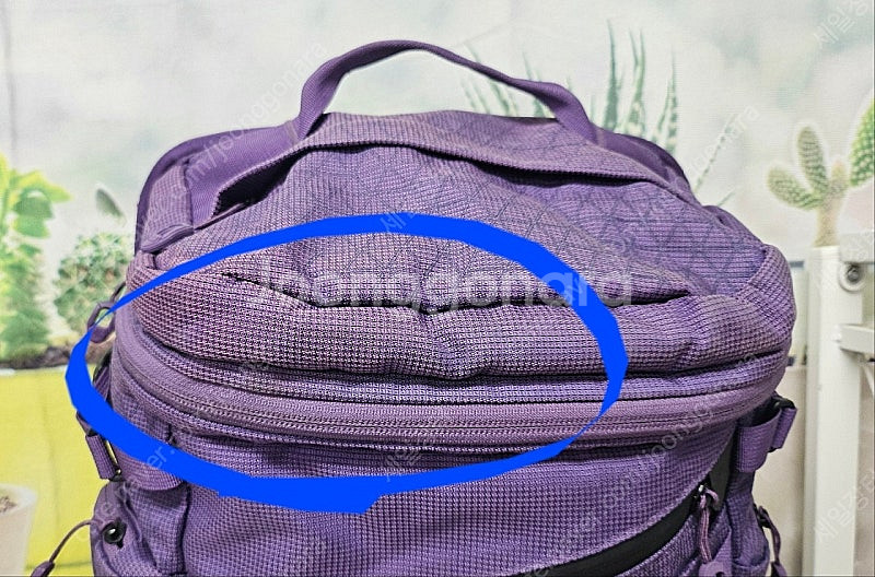 노스페이스 백팩 잭팟 백팩 학생백팩 PA53--5