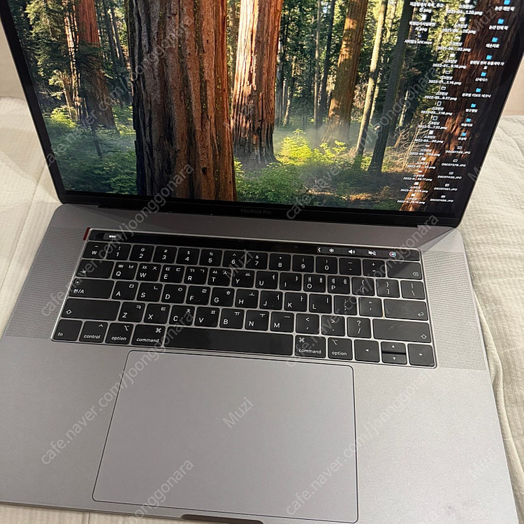 맥북프로 2018 15인치 고급형 이미지