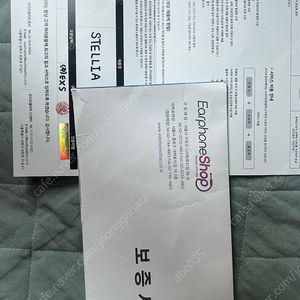 포칼 스텔리아