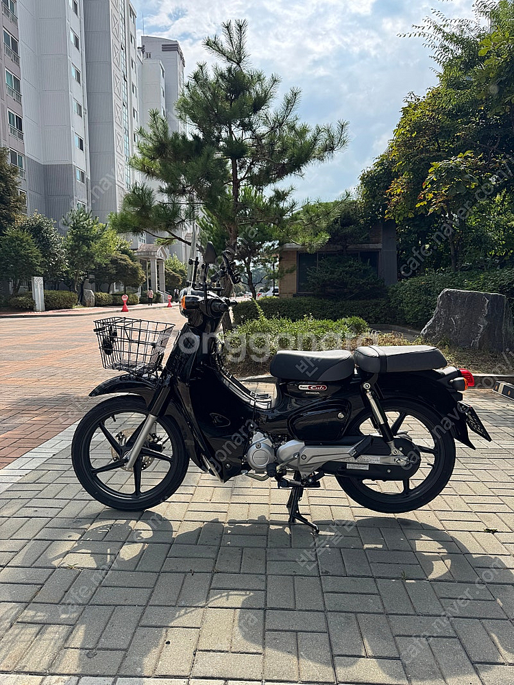 500km 주행한 신차급 슈퍼커브 110 팝니다. (파...--2
