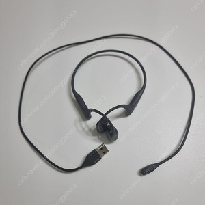 애프터샥 샥즈 오픈런 프로 S810 골전도 이어폰 블랙