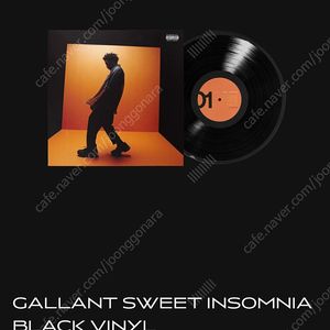 (미개봉 LP) GALLANT 갈란트 SWEET INSOMNIA 블랙