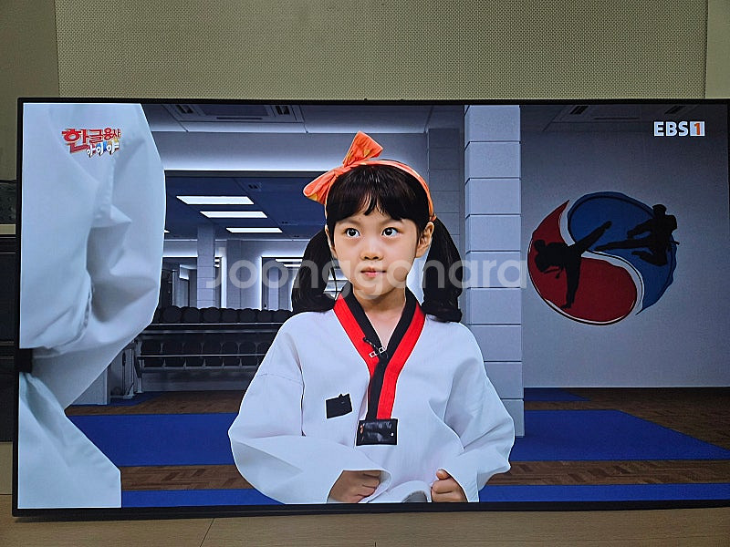 LG OLED55B2ENA 55인치 OLED TV--0