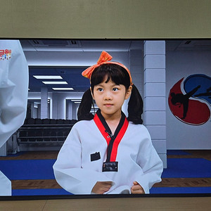 LG OLED55B2ENA 55인치 OLED TV