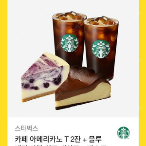스타벅스 아메리카노 T 2잔 + 블루베리 마블 치즈 케이크 + 바스크 초코 치즈 케이크