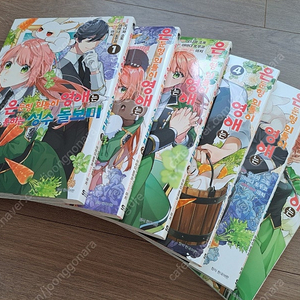 은둔형 외톨이 영애는 말이 통하는 성수 돌보미 1~6권