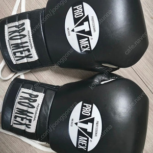 타이틀 프로멕스 3 16온스 레이스스파링글러브