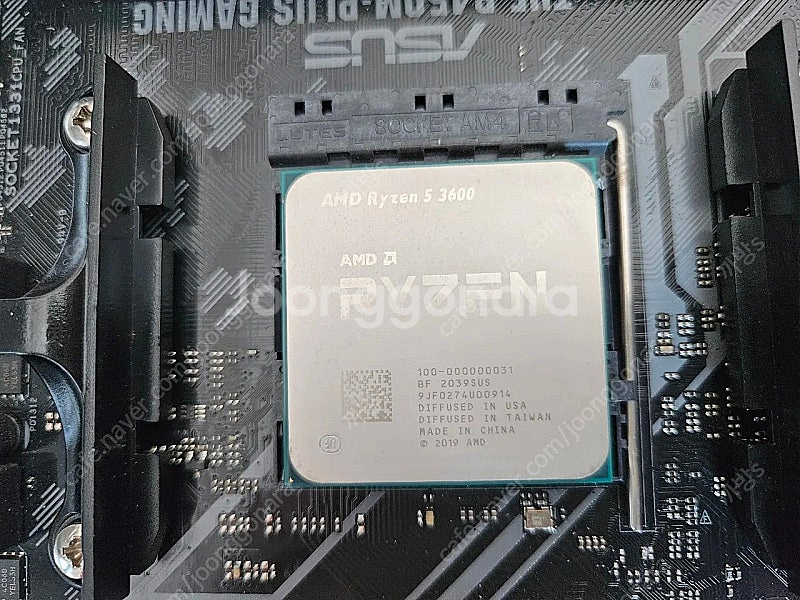 라이젠 3600 + B450M TUF + 16GB 택포--1