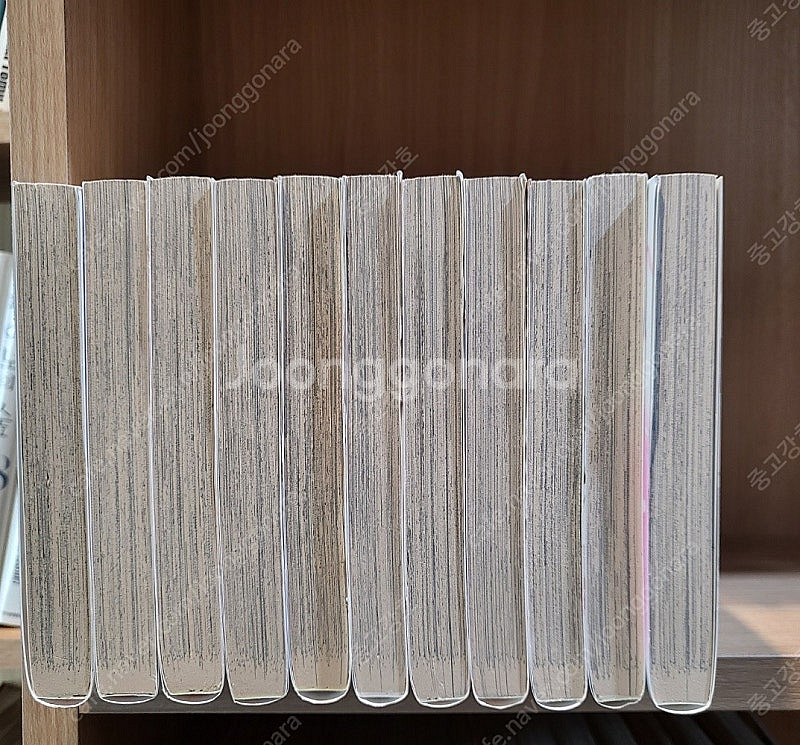 카게노도 청춘이고 싶다 1~11 완결, 최상급, 소장용--1