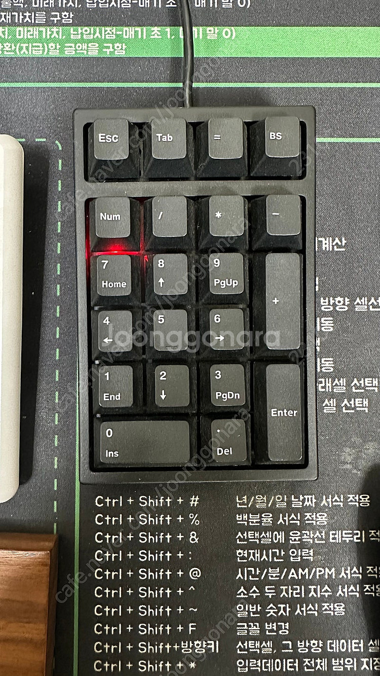 레오폴드 기계식 숫자패드 FC210TP PD 저소음적축--0