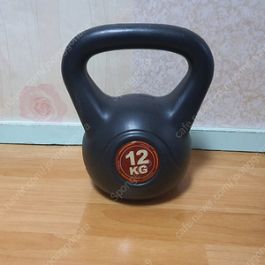 이고진 케틀벨 12kg