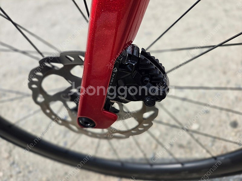 2025 파스포츠 RAF Z06 105 Di2 카본 에...--5