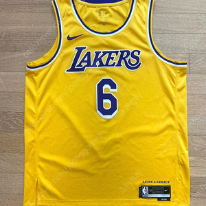 나이키 NBA 르브론 제임스 레이커스 져지