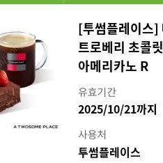 투썸플레이스 떠먹는 초콜릿 생크림+아메R