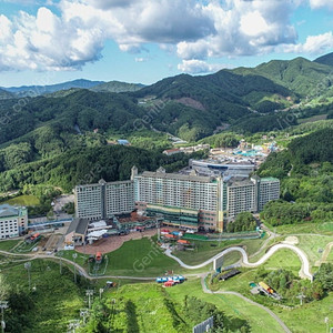 웰리힐리파크, 8/29일(금) 패밀리룸 숙소 양도