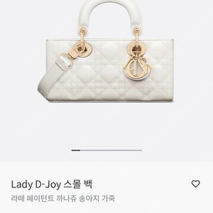 디올 레이디 디조이 스몰백