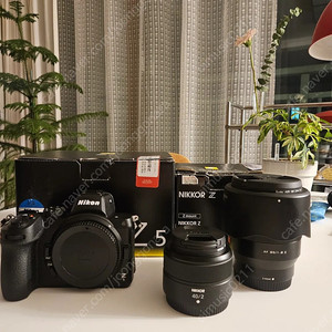 니콘 z5 + 40mm f2